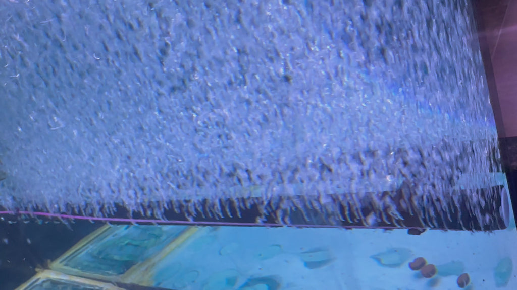 Koi pond and Aquarium air bar/curtain fine bubble diffuser
