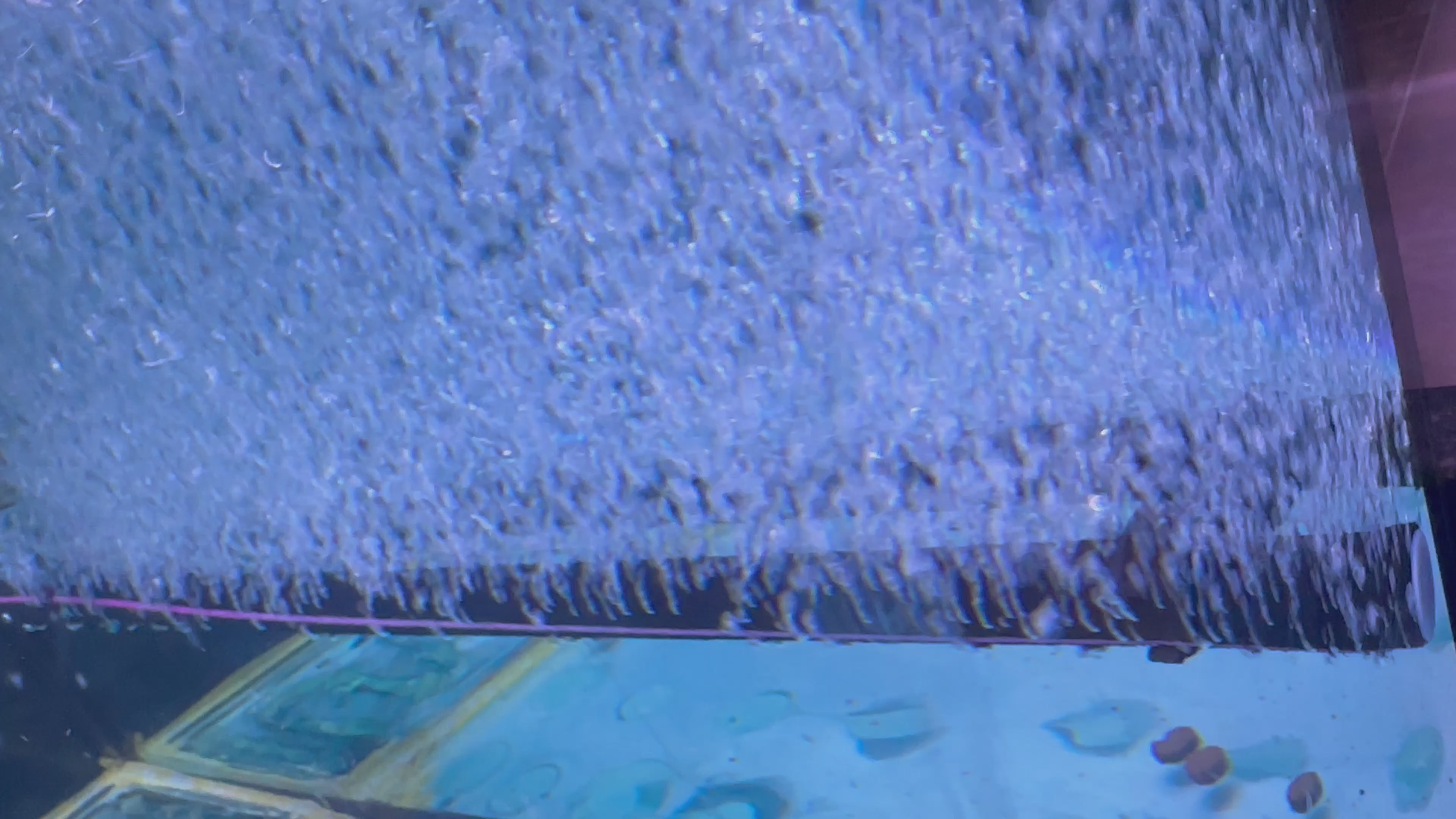 Koi pond and Aquarium air bar/curtain fine bubble diffuser