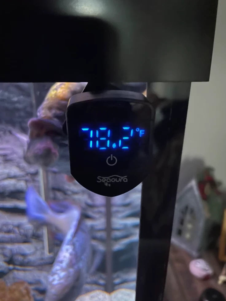 2-in-1 Magnetic Aquarium Thermometer & Glass Cleaner