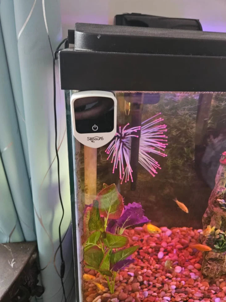 2-in-1 Magnetic Aquarium Thermometer & Glass Cleaner