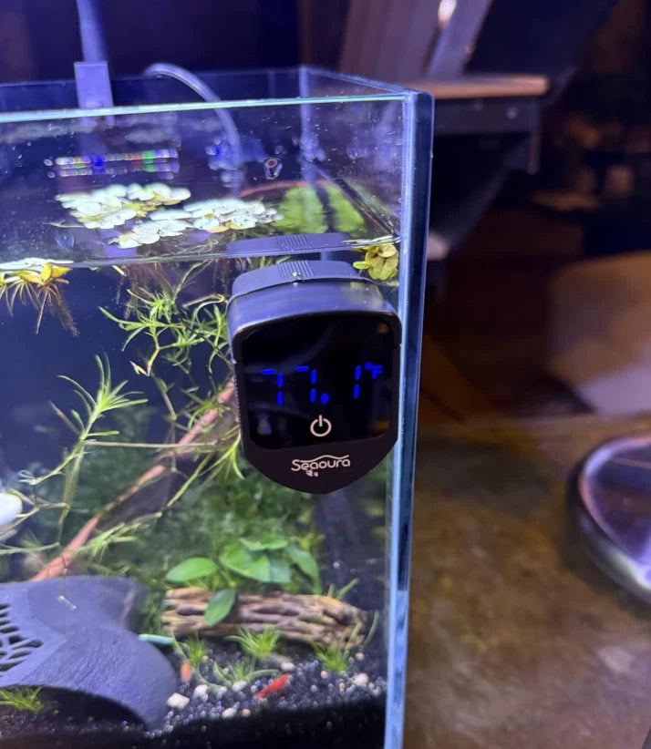 2-in-1 Magnetic Aquarium Thermometer & Glass Cleaner