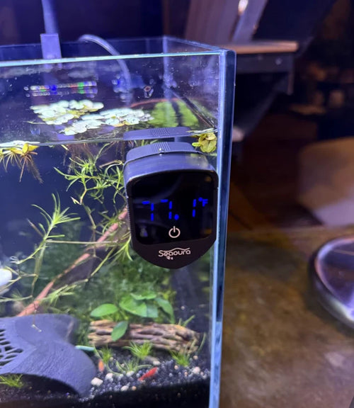 2-in-1 Magnetic Aquarium Thermometer & Glass Cleaner